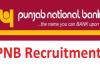 پنجاب نیشنل بینک میں نوکری حاصل کرنے کا سنہری موقع