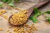 میتھی نہ صرف اپنے ذائقے کے لیے بلکہ دواؤں کی خصوصیات کے لیے بھی جانی جاتی ہے