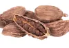 کالی الائچی طبی خصوصیات سے بھرپور ہوتی ہے