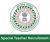 جھارکھنڈ اسٹاف سلیکشن کمیشن نے اسپیشل اسسٹنٹ ٹیچر کے عہدے کے لیے بھرتی مہم کا اعلان کیا ہے
