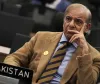 امریکا اور ایران آئندہ 60 روز میں ایٹمی اور میزائل کے معاملات پر بات کریں گے، شہباز شریف