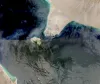 باب المندب آبنائے کی بندش کے اعلان کے بعد سے  ذریعے ترسیل میں 56 فیصد کمی آئی ہے: رپورٹ
