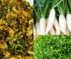 مولیوں کے علاوہ ان کے سبز پتے بھی غذائیت سے بھرپور ہوتے ہیں