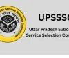 UPSSSC نے سینئر انسٹرکٹر کے عہدوں پر بھرتی کا اعلان کیا
