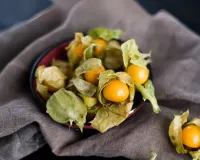 راسبیری اپنی دواؤں کی خصوصیات کے لیے مشہور ہیں