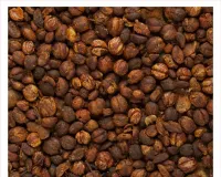 مالاکنگنی کے بیج ایک معجزاتی آیورویدک دوا ہیں