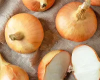 کچی پیاز کھانے کے حیرت انگیز فائدے