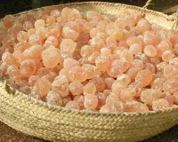 ببول کا گوند ہڈیوں کو مضبوط کرتا ہے اور جسم کی قوت مدافعت کو بڑھاتا ہے