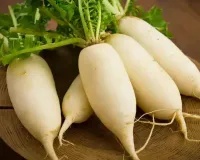 مولیاں دواؤں کی خصوصیات سے بھرپور ہوتی ہیں