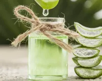 ایلوویرا دواؤں کی خصوصیات سے بھرپور ہے