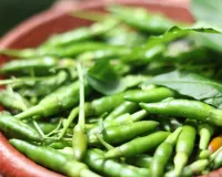 ہری مرچ اینٹی آکسیڈنٹس اور وٹامنز کا ذخیرہ ہے