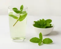 سردیوں میں بھی پودینے کا استعمال صحت کے لیے انتہائی مفید ہے