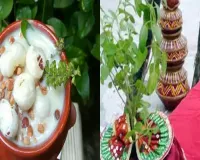 مرگشیرشا کے مہینے میں تلسی کی پوجا کی خاص اہمیت ہے