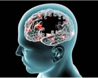 لکھنؤ یونیورسٹی کی اہم دریافت: الزائمر کے علاج کے سراغ پان کے پتوں میں پائے جاتے ہیں