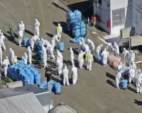 جاپان نے کیوٹو میں برڈ فلو کے انفیکشن کی تصدیق کردی: وزارت زراعت