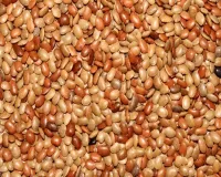 آیوش کی وزارت نے  کولتھی دال       کو ایک سپر فوڈ کے طور پر درجہ بندی کیا ہے