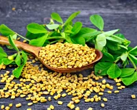 ہری میتھی ہو یا اس کے بیج، دونوں ہی فائدہ مند ہیں