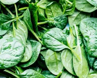 پالک کو صحت کے لیے انتہائی مفید سمجھا جاتا ہے