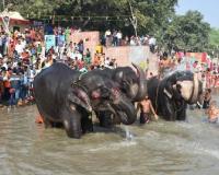 اگہان کے مہینے میں ہری ہر سنانا انتہائی مبارک سمجھا جاتا ہے