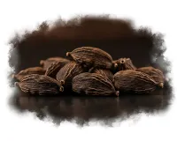 کالی الائچی کو آیوروید میں ہاضمہ بڑھانے والا مسالا سمجھا جاتا ہے