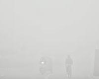 دہلی میں شدید دھند اور سردی نے تباہی مچا دی