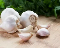 لہسن قدیم زمانے سے بطور دوا استعمال ہوتا رہا ہے
