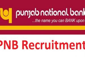 پنجاب نیشنل بینک میں نوکری حاصل کرنے کا سنہری موقع