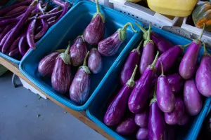 بینگن نہ صرف مزیدار ہے بلکہ صحت کے لیے بھی فائدہ مند ہے