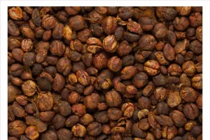 مالاکنگنی کے بیج ایک معجزاتی آیورویدک دوا ہیں