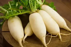 مولیاں دواؤں کی خصوصیات سے بھرپور ہوتی ہیں