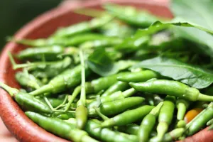 ہری مرچ اینٹی آکسیڈنٹس اور وٹامنز کا ذخیرہ ہے