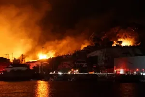 جاپانی شہر میں آگ لگنے سے 175 افراد کو محفوظ مقامات پر منتقل کر دیا گیا ہے