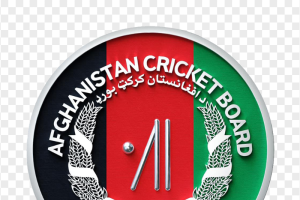 افغانستان کرکٹ بورڈ نے پانچ ٹیموں کی فرنچائز پر مبنی ٹی ٹوئنٹی لیگ کا اعلان کر دیا