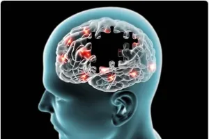 لکھنؤ یونیورسٹی کی اہم دریافت: الزائمر کے علاج کے سراغ پان کے پتوں میں پائے جاتے ہیں