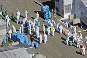 جاپان نے کیوٹو میں برڈ فلو کے انفیکشن کی تصدیق کردی: وزارت زراعت