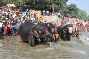 اگہان کے مہینے میں ہری ہر سنانا انتہائی مبارک سمجھا جاتا ہے