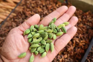 الائچی صحت کے لیے انتہائی مفید ہے