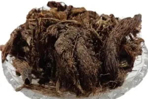 Spikenard ایک مؤثر آیورویدک دوا سمجھا جاتا ہے