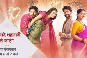 'شہزادے شہزادی لے جائیں گے' کا نیا پرومو جاری