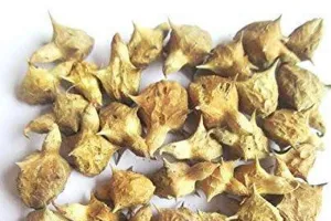 گوکھرو ایک دواؤں کا پودا ہے۔اس کے پھل سے آیورویدک دوائیں بنتی ہیں