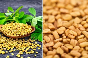  میتھی میں دواؤں کی خصوصیات کا ذخیرہ موجود ہے