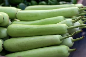 لوکی کے بیج بہت فائدہ مند تصور کیے جاتے ہیں