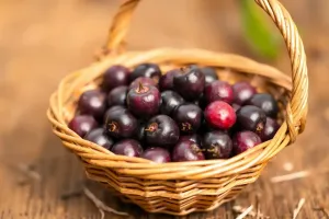 پھلسا موسم گرما کو ٹھنڈا کرنے والا قدرتی پھل سمجھا جاتا ہے