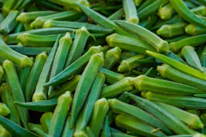 آیوروید میں بھنڈی کو دواؤں کی خصوصیات سے مالا مال سمجھا جاتا ہے