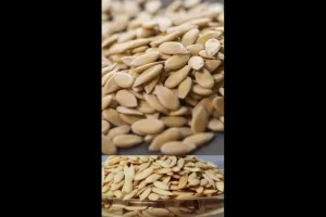 صحت کا راز خربوزے کے بیجوں میں پنہاں ہے
