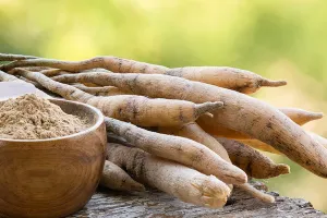 Shatavari ایک معجزاتی اور سستی دوا ہے