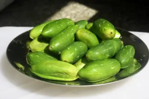 کندرو غذائی خصوصیات سے بھرپور ہے