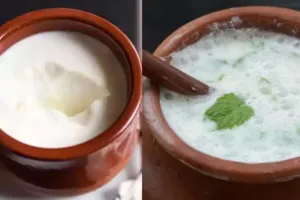 ہندوستانی کھانوں میں دہی کو ایک خاص مقام حاصل ہے