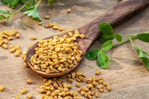 میتھی نہ صرف اپنے ذائقے کے لیے بلکہ دواؤں کی خصوصیات کے لیے بھی جانی جاتی ہے
