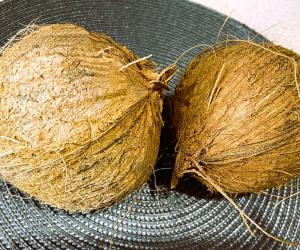 ہر نیک کام سے پہلے ناریل کیوں توڑا جاتا ہے؟